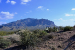 photo thumbnail #12