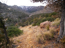 photo thumbnail #1