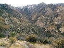 photo thumbnail #3