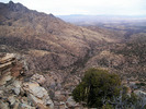 photo thumbnail #4