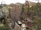 photo thumbnail #6