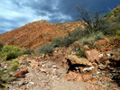 photo thumbnail #5