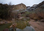 photo thumbnail #12