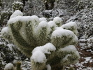 photo thumbnail #1