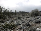 photo thumbnail #3