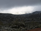 photo thumbnail #5