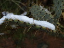photo thumbnail #7