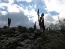photo thumbnail #8