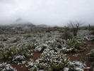 photo thumbnail #9