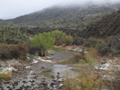 photo thumbnail #11
