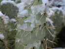 photo thumbnail #12