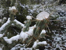 photo thumbnail #13