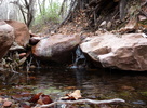 photo thumbnail #11