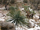 photo thumbnail #5
