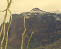 photo thumbnail #5