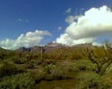 photo thumbnail #2