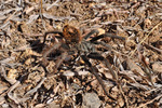 photo thumbnail #2
