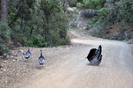 photo thumbnail #1