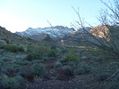 photo thumbnail #1