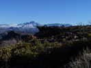 photo thumbnail #2