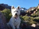 photo thumbnail #4