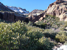 photo thumbnail #5