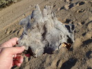photo thumbnail #12