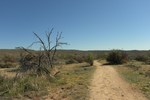 photo thumbnail #6