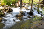 photo thumbnail #5