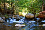 photo thumbnail #9