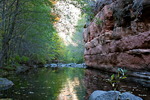 photo thumbnail #12