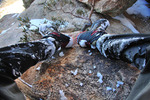 photo thumbnail #7