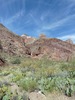 photo thumbnail #14