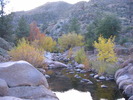 photo thumbnail #2