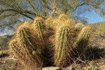 photo thumbnail #4