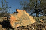 photo thumbnail #6