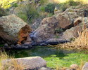photo thumbnail #4