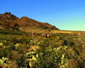 photo thumbnail #12