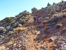 photo thumbnail #3