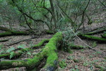 photo thumbnail #14