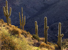 photo thumbnail #3