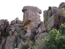 photo thumbnail #4