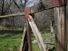 photo thumbnail #4