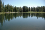 photo thumbnail #13