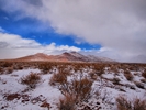 photo thumbnail #8