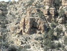 photo thumbnail #11