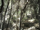 photo thumbnail #12