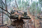 photo thumbnail #5