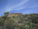 photo thumbnail #8