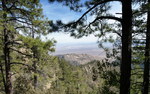 photo thumbnail #6
